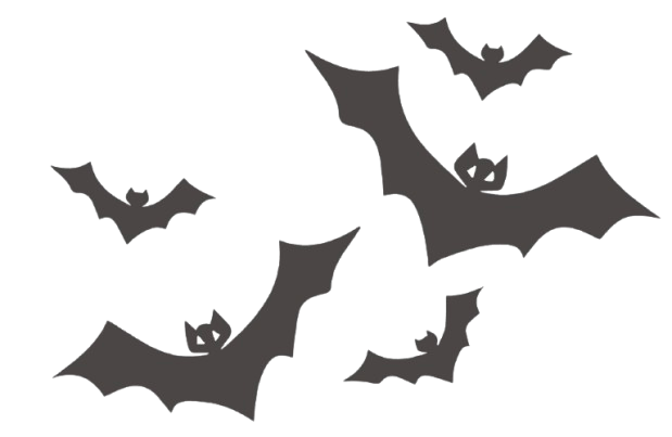 bats